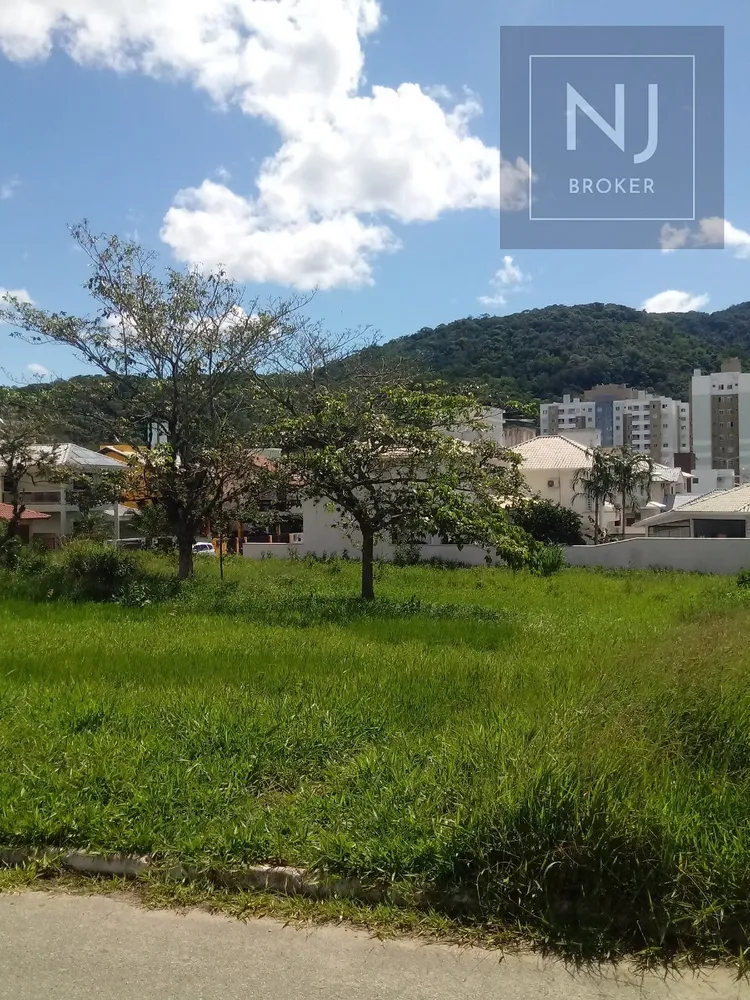 Terreno, 497 m² - Foto 6