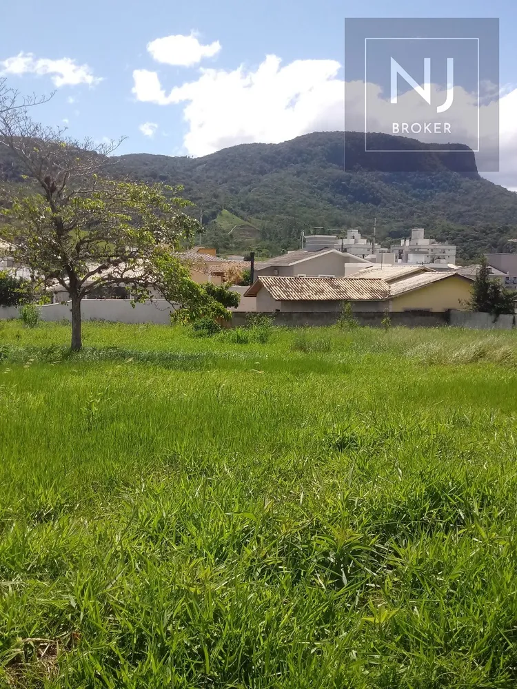 Terreno, 497 m² - Foto 5
