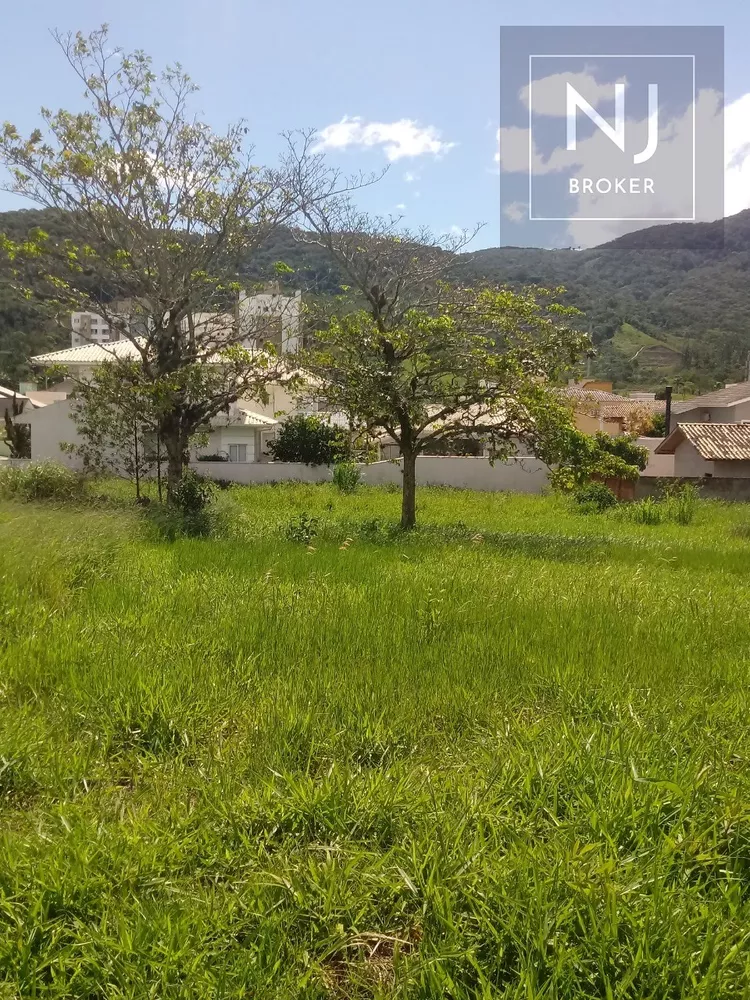 Terreno, 497 m² - Foto 1