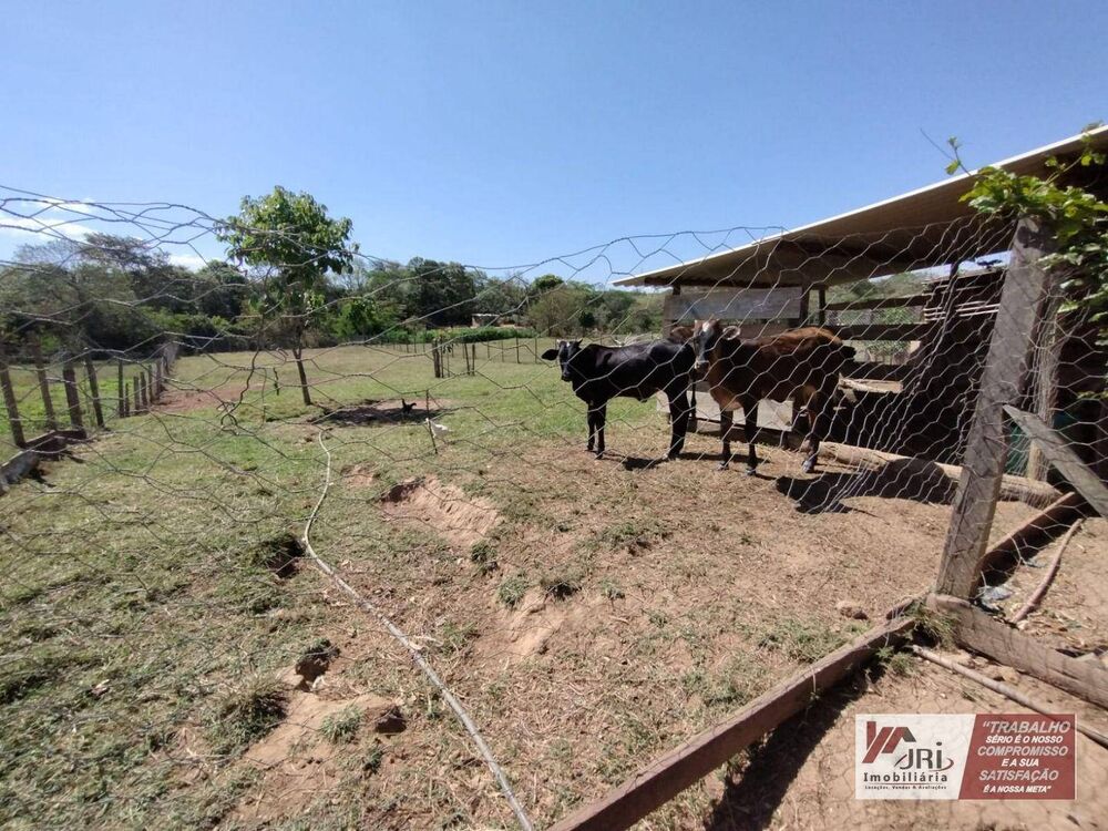 Chácara, 4 quartos, 2250 m² - Foto 4