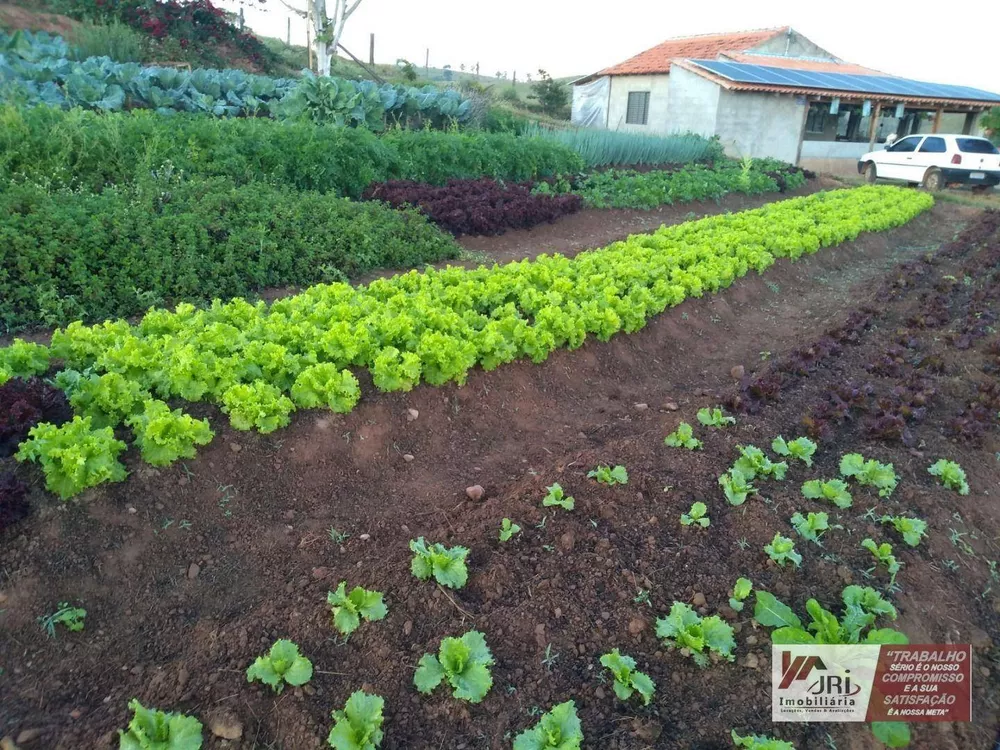 Sítio, 2 quartos, 10 hectares - Foto 3