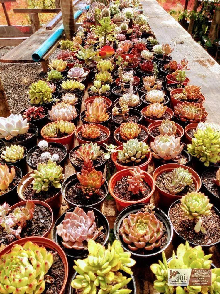 Sítio, 2 quartos, 10 hectares - Foto 4