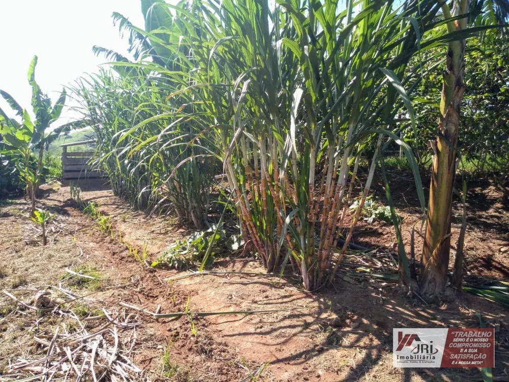 Sítio, 2 quartos, 10 hectares - Foto 5