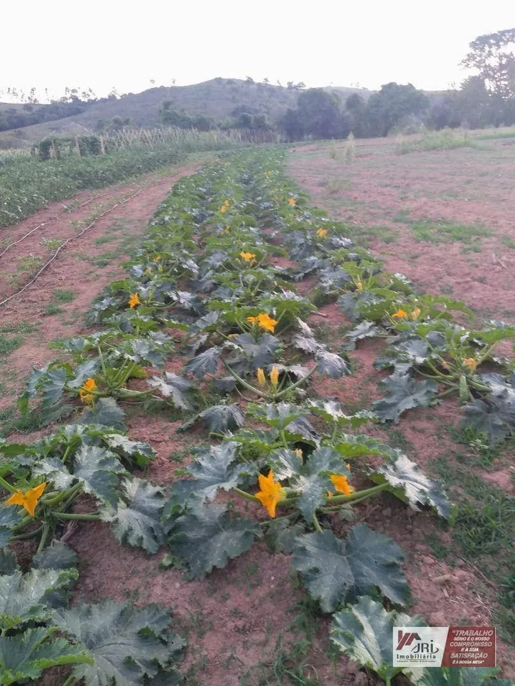 Sítio, 2 quartos, 10 hectares - Foto 7