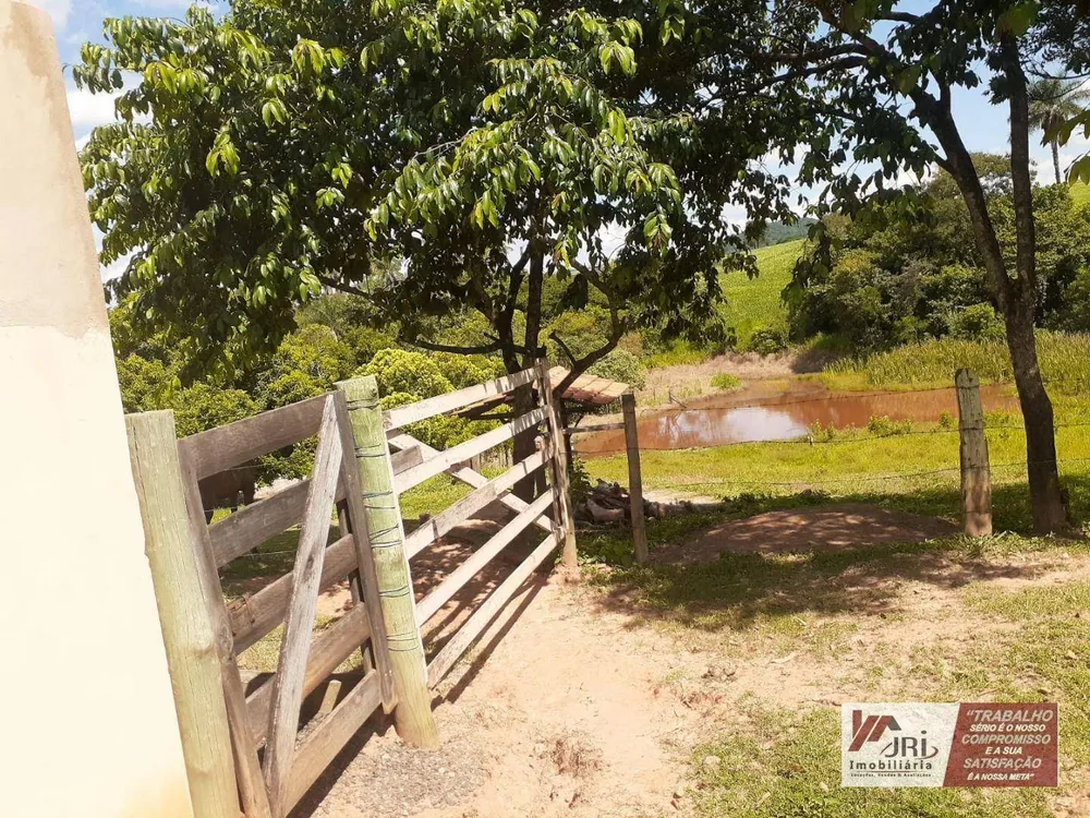 Sítio, 3 quartos, 6000 m² - Foto 5