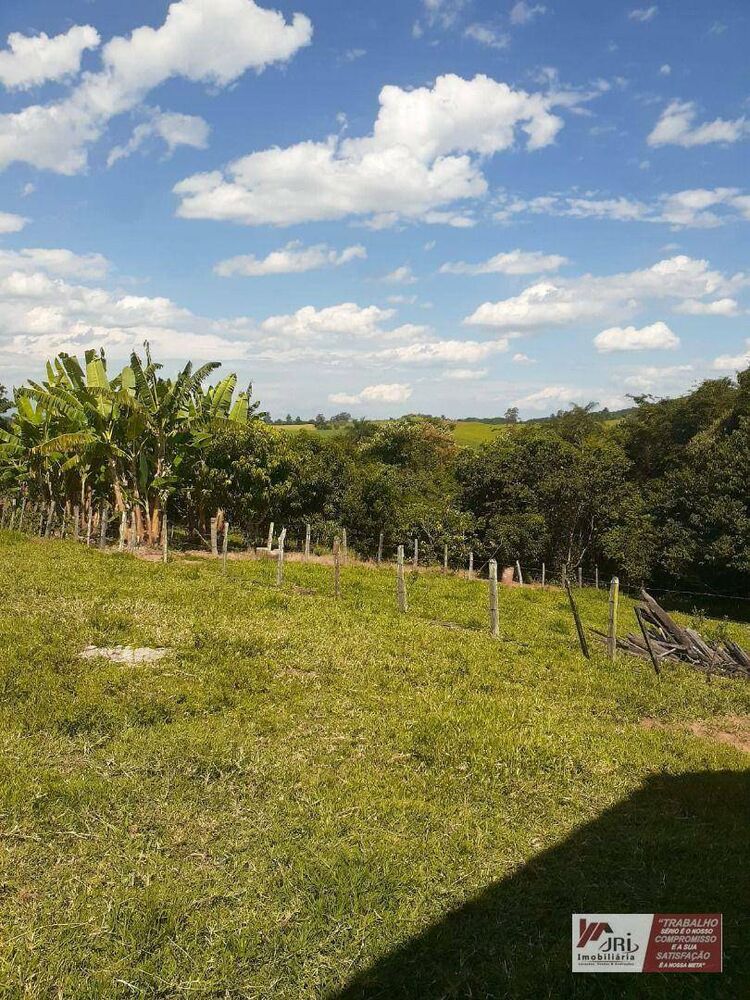 Sítio, 3 quartos, 6000 m² - Foto 2