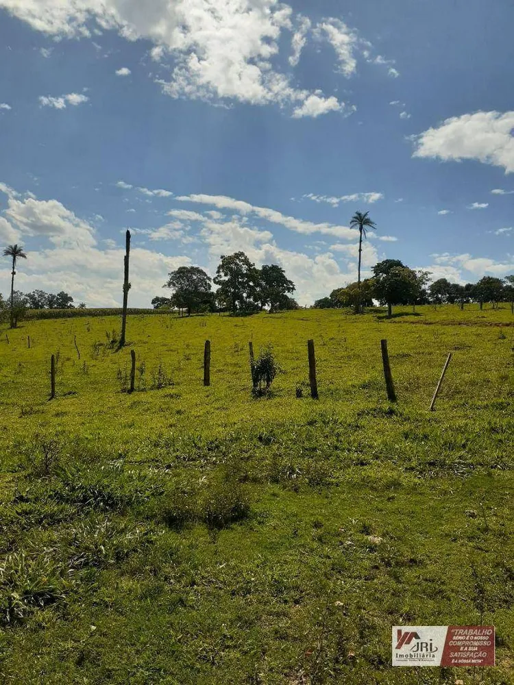 Sítio, 3 quartos, 6000 m² - Foto 12