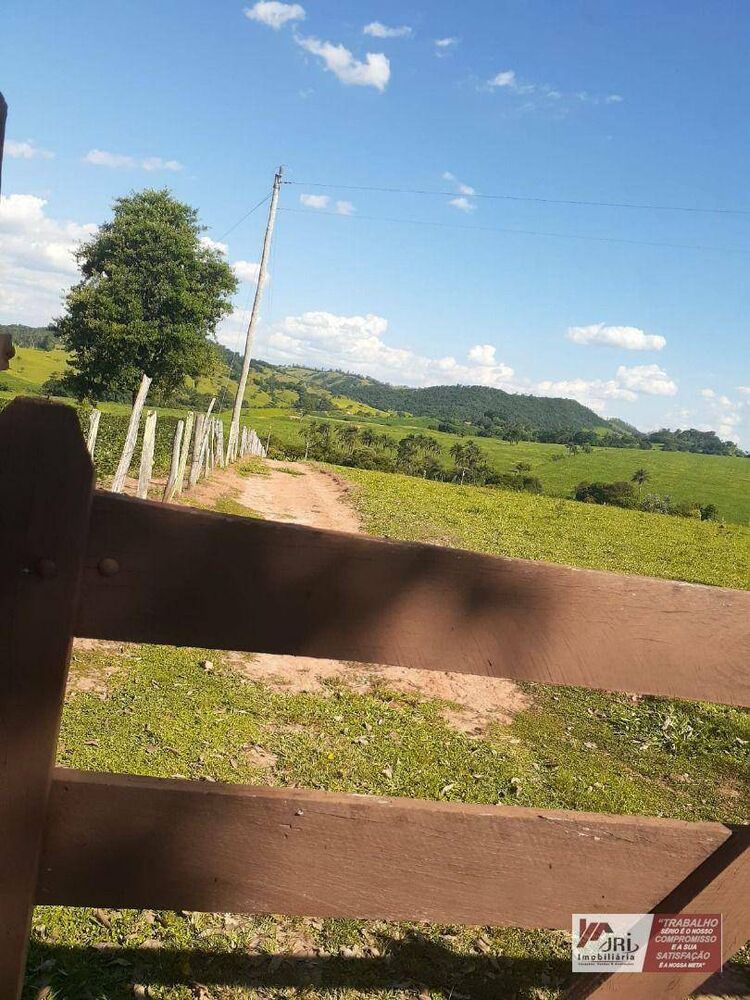 Sítio, 3 quartos, 6000 m² - Foto 4