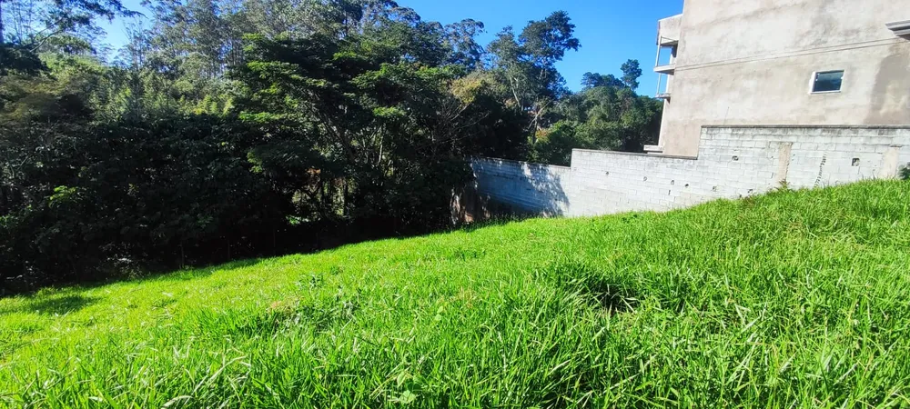 Terreno, 500 m² - Foto 6
