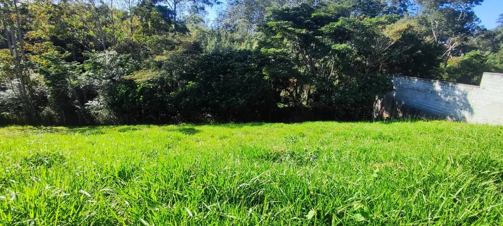 Terreno, 500 m² - Foto 4
