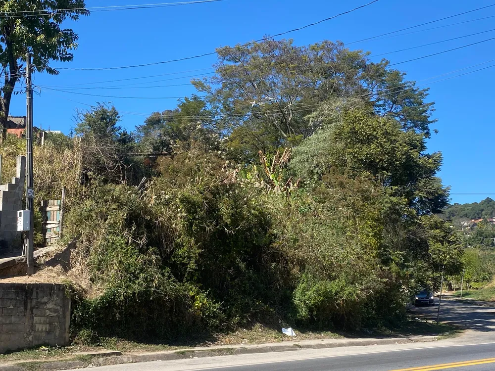 Terreno - Foto 6