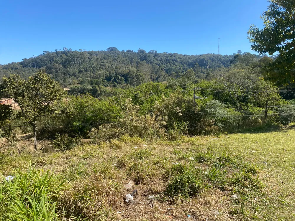Terreno - Foto 5