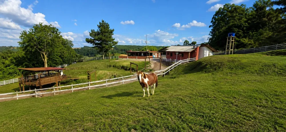 Chácara, 2 quartos, 3 hectares - Foto 1