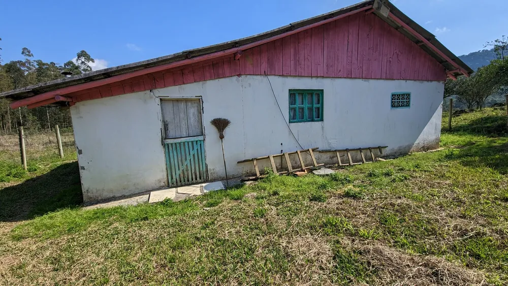 Sítio, 5 hectares - Foto 11
