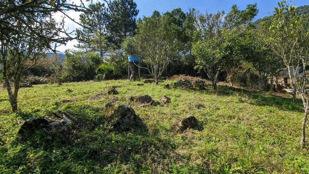 Sítio, 5 hectares - Foto 8