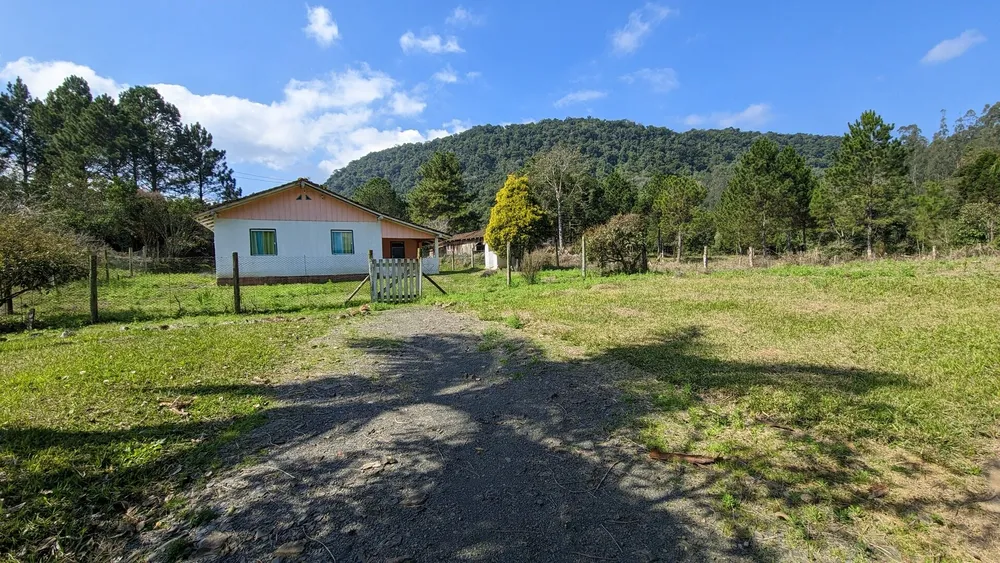 Sítio, 5 hectares - Foto 4