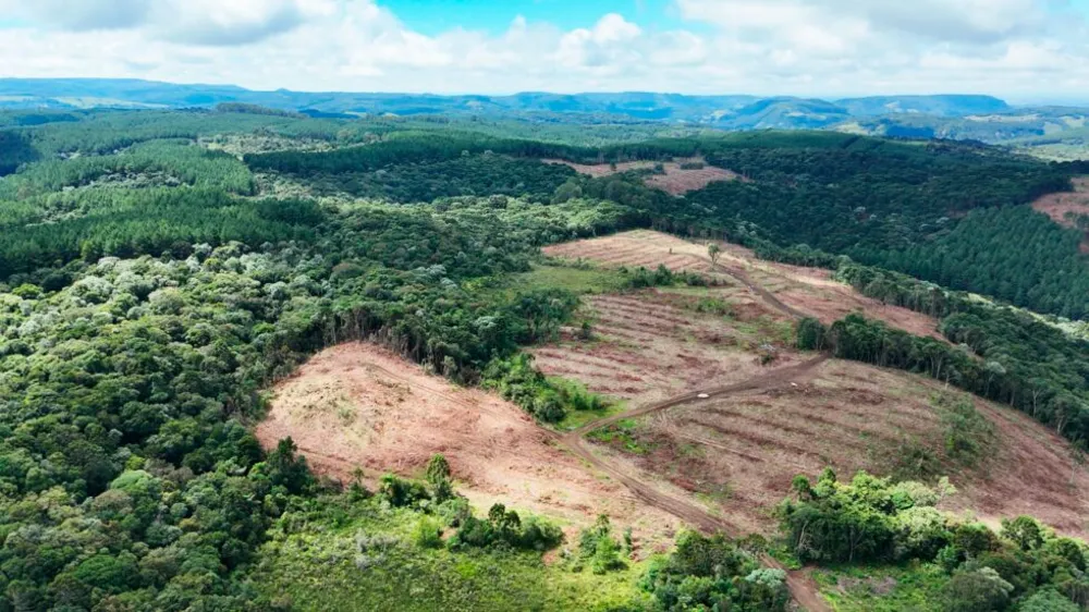 Fazenda, 146 hectares - Foto 1
