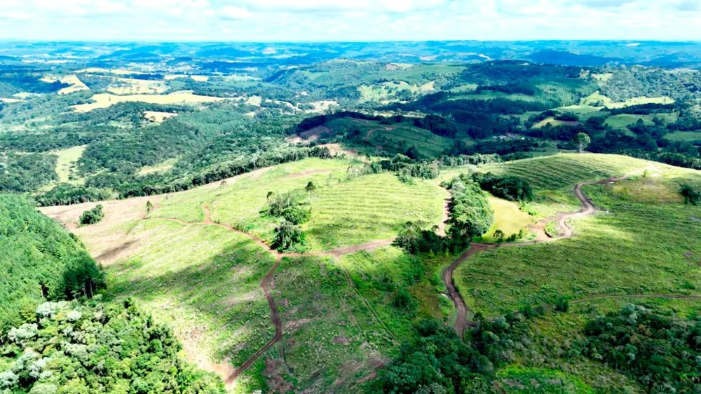 Fazenda, 146 hectares - Foto 4