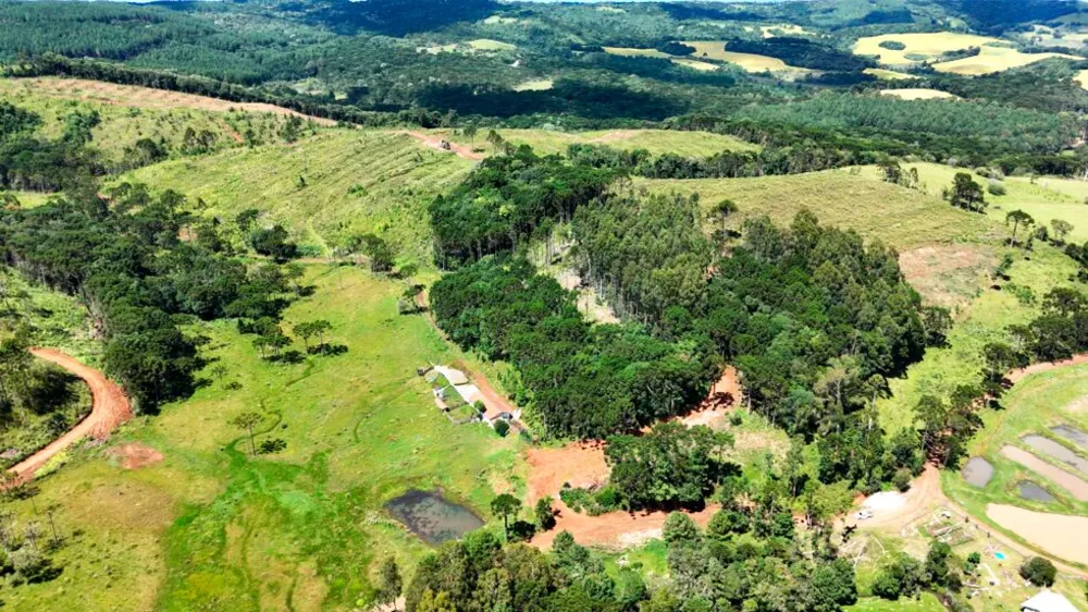 Fazenda, 146 hectares - Foto 2