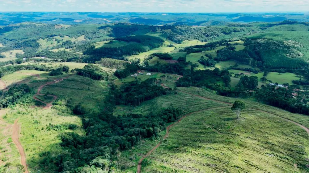 Fazenda, 146 hectares - Foto 3