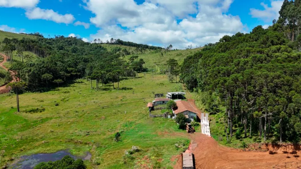 Fazenda, 146 hectares - Foto 7