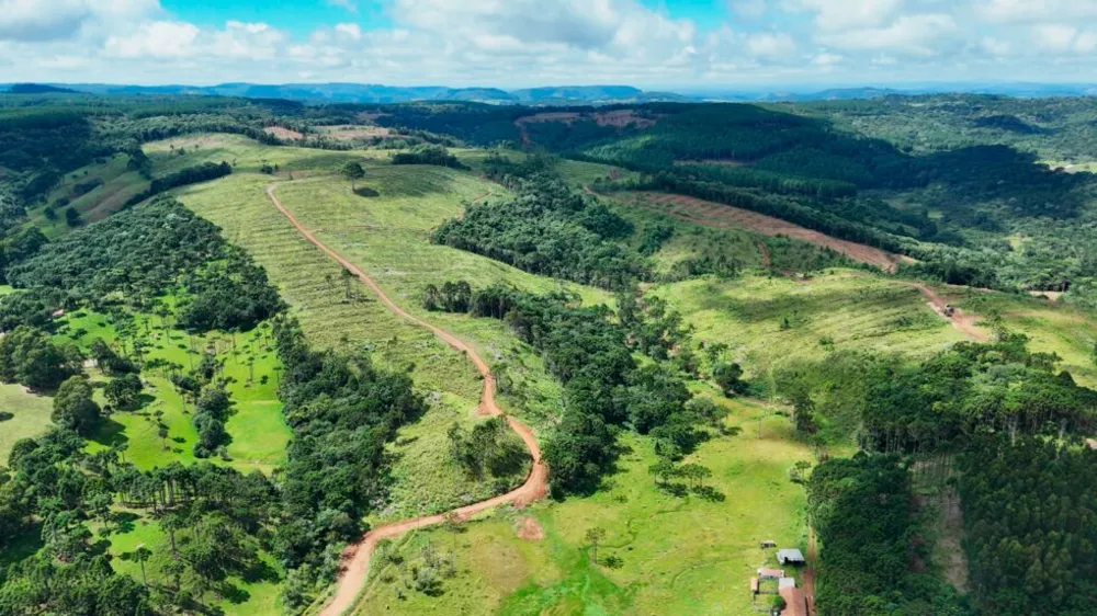 Fazenda, 146 hectares - Foto 5