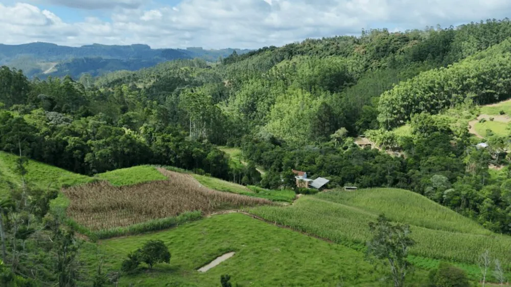 Sítio, 2 quartos, 8 hectares - Foto 1