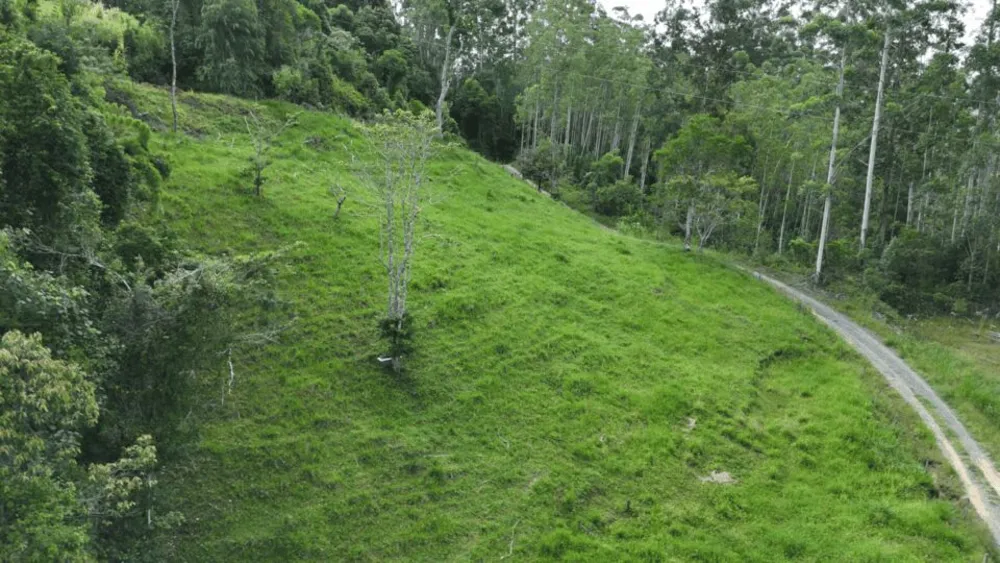 Sítio, 2 quartos, 8 hectares - Foto 4