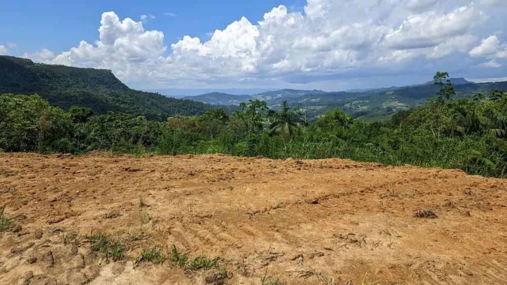 Terreno, 2 hectares - Foto 3