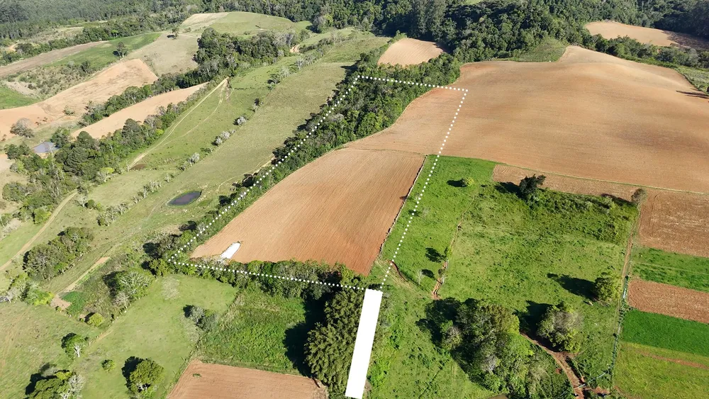Terreno, 3 hectares - Foto 4