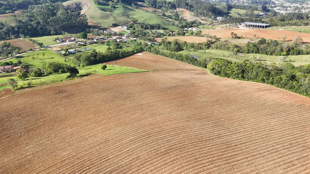 Terreno, 3 hectares - Foto 3