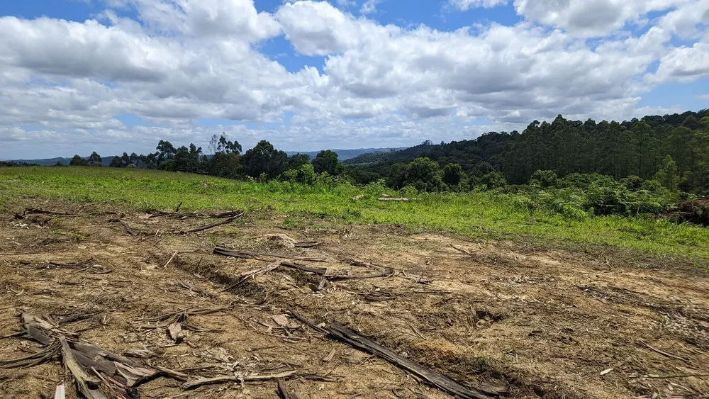 Terreno, 6 hectares - Foto 13
