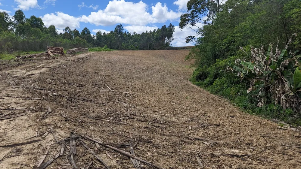 Terreno, 6 hectares - Foto 9