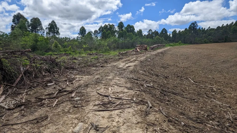 Terreno, 6 hectares - Foto 10