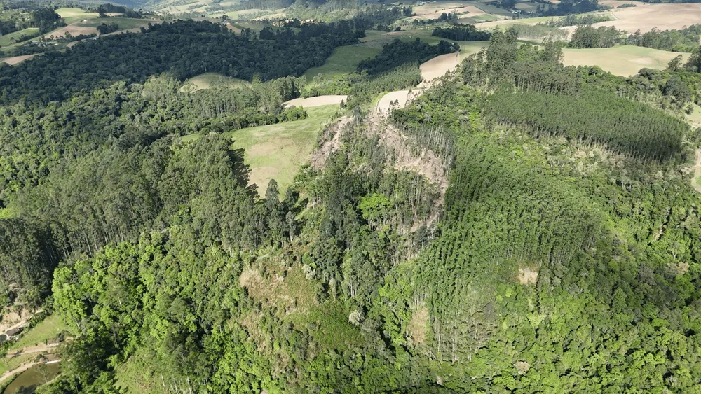 Terreno, 6 hectares - Foto 8