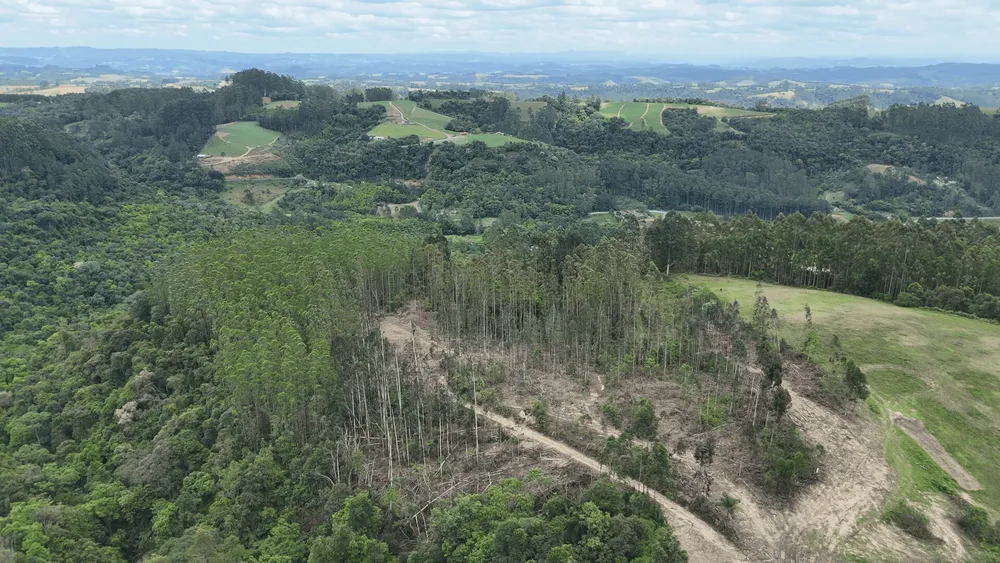 Terreno, 6 hectares - Foto 6