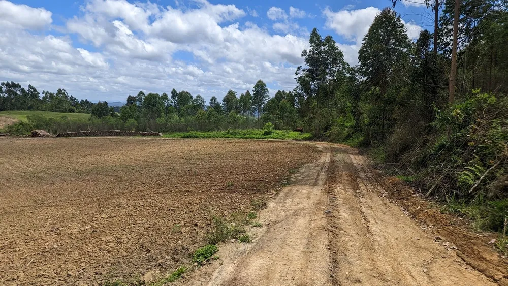 Terreno, 6 hectares - Foto 2