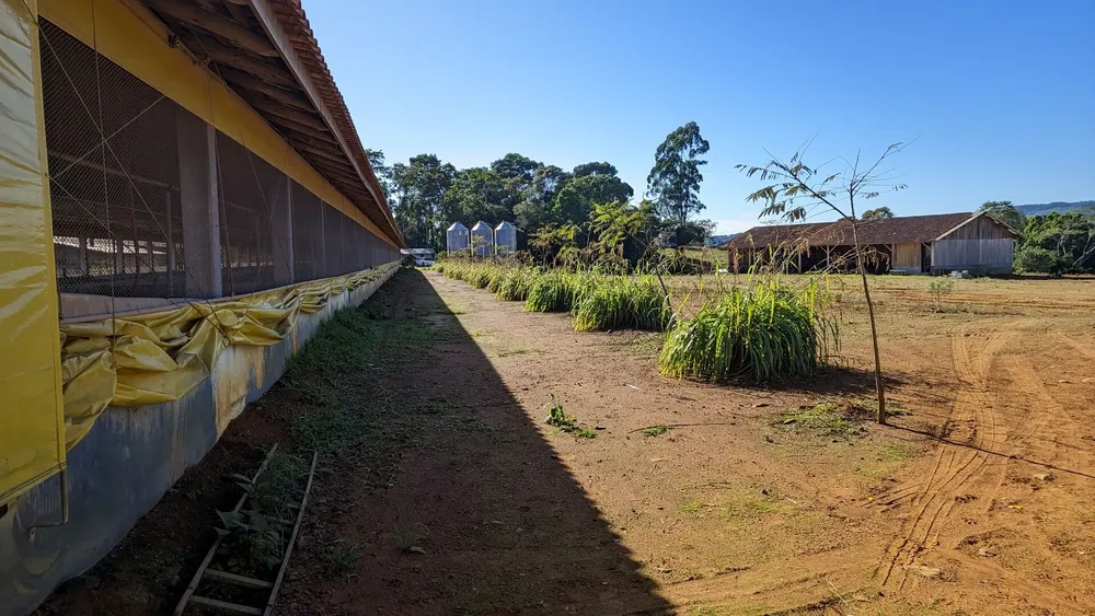 Terreno, 2 hectares - Foto 4
