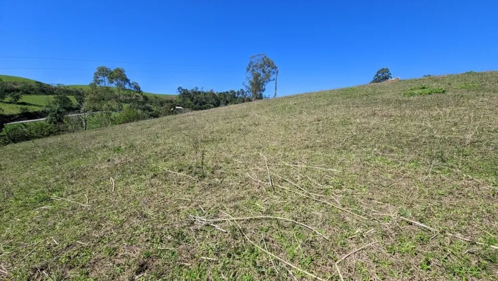 Chácara, 2 quartos, 4 hectares - Foto 8