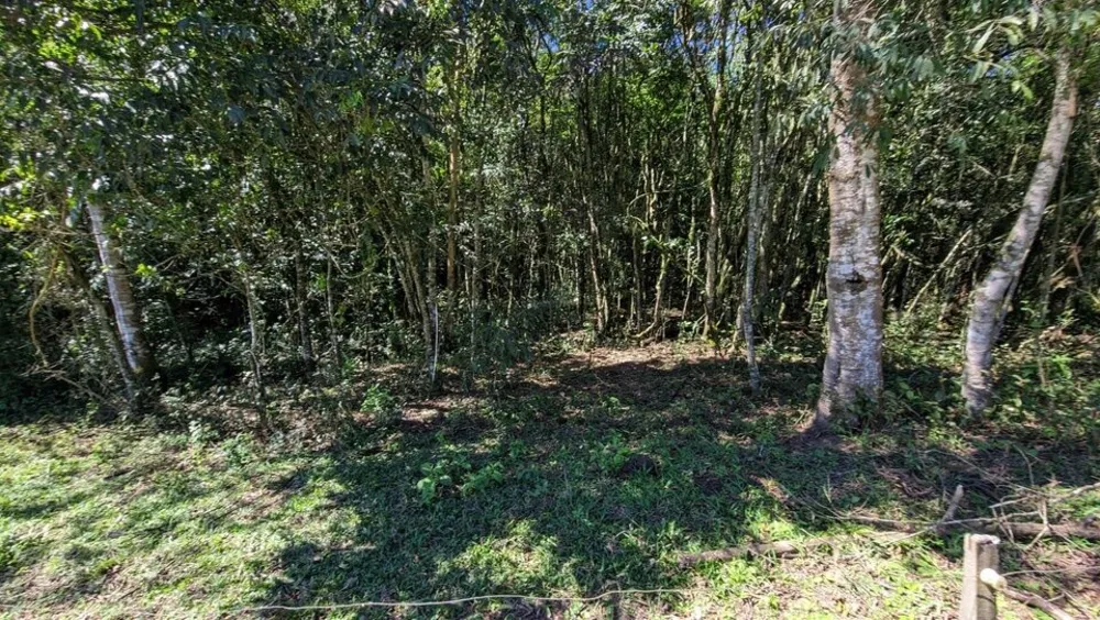 Chácara, 2 quartos, 4 hectares - Foto 11