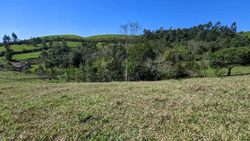 Chácara, 2 quartos, 4 hectares - Foto 10