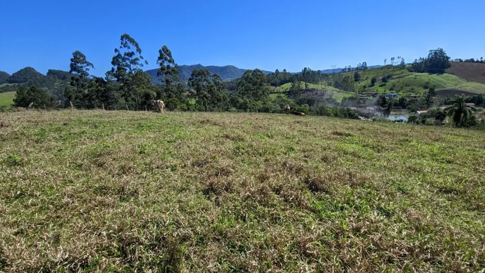 Chácara, 2 quartos, 4 hectares - Foto 9