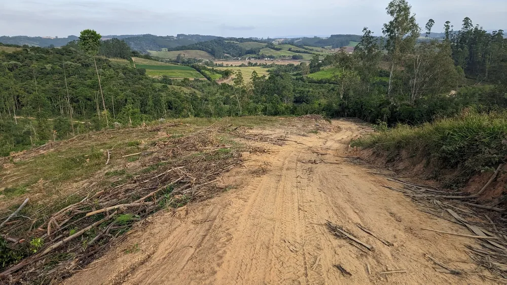 Sítio, 9 hectares - Foto 4