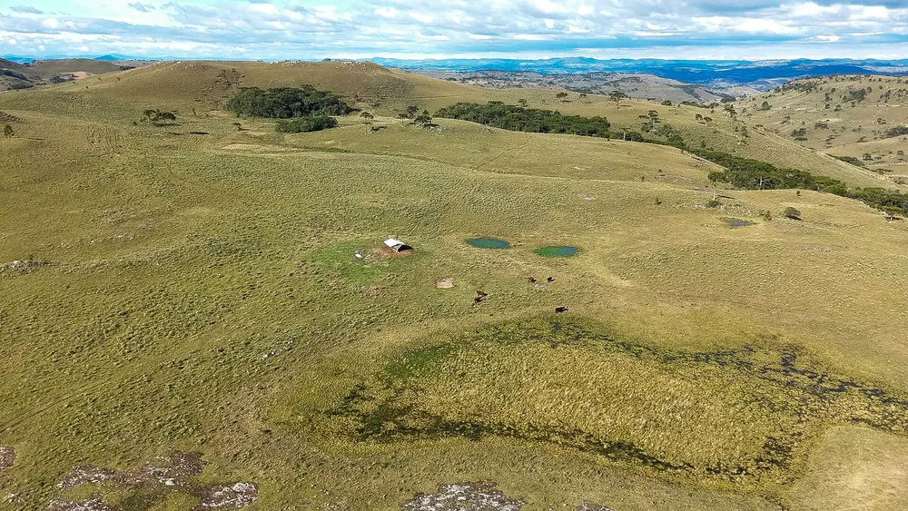 Fazenda, 451 hectares - Foto 3