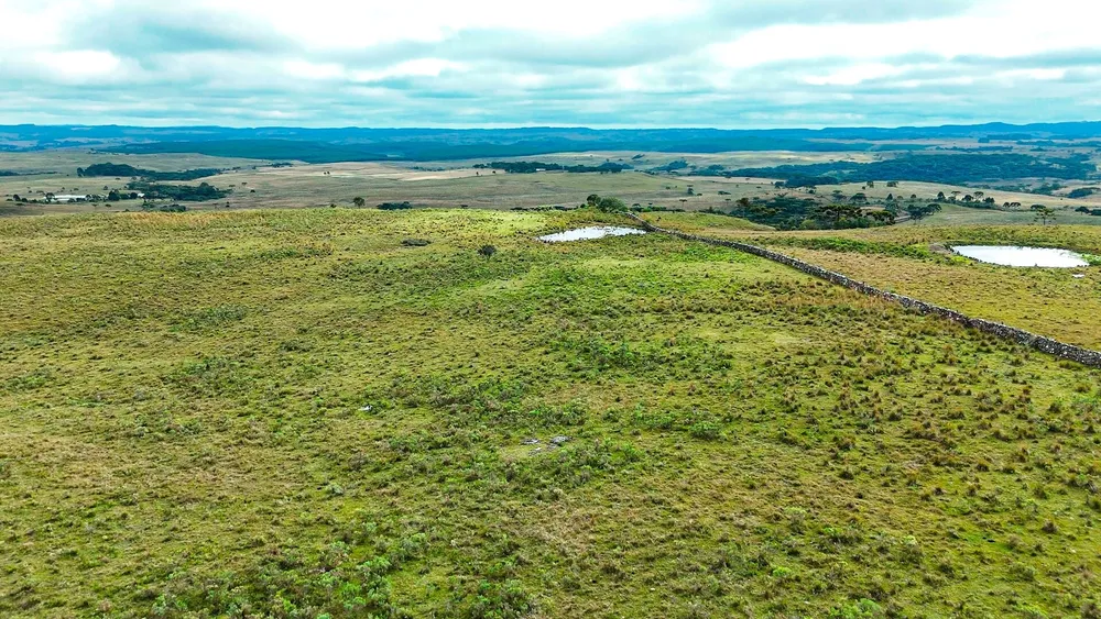 Fazenda, 451 hectares - Foto 1