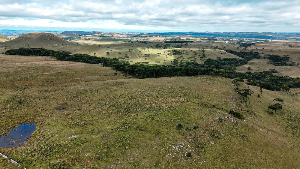 Fazenda, 451 hectares - Foto 4