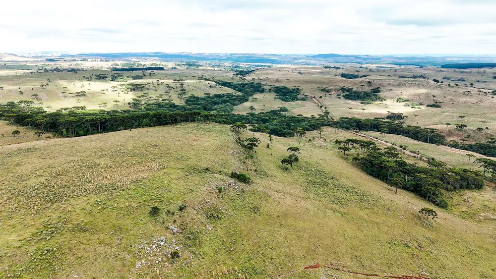 Fazenda, 451 hectares - Foto 2