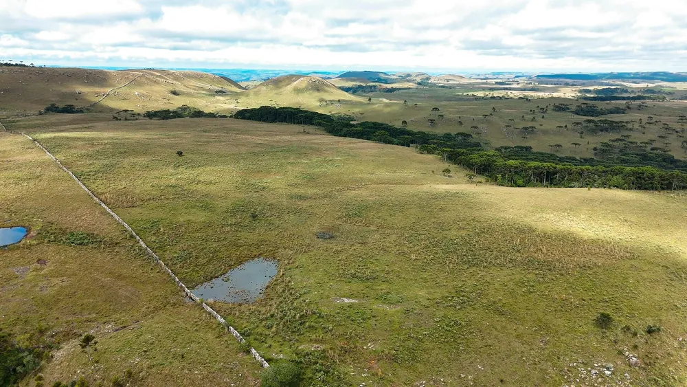 Fazenda, 451 hectares - Foto 1