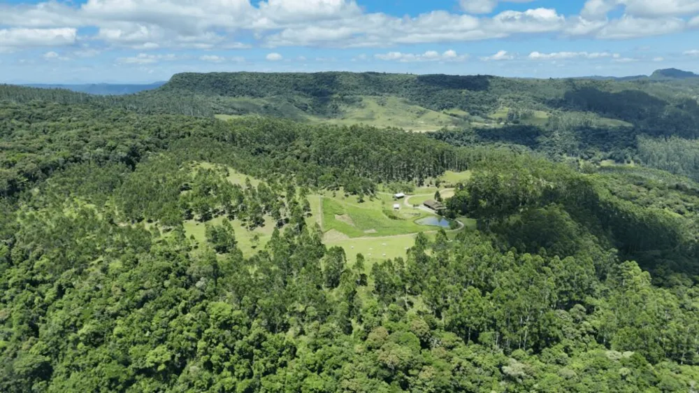 Sítio, 2 quartos, 30 hectares - Foto 6