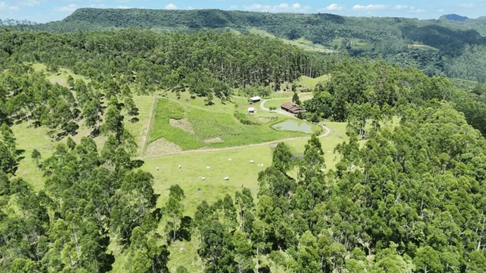 Sítio, 2 quartos, 30 hectares - Foto 3